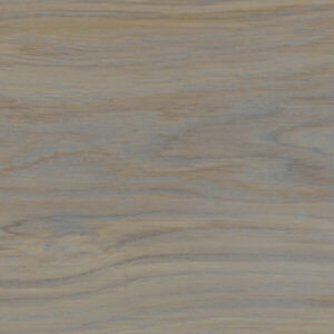 Gris Beige